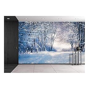 wall26 - Winter Landscape in Snow Forest. Alley...