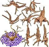 Vmiapxo 8 Pack Natural Driftwood for