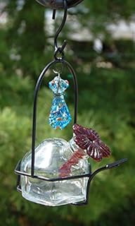 Amazon Com Parasol Lp1g1 3 By 6 Inch Lunch Pail 1 Hummingbird