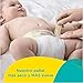 Pampers Swaddlers Diapers Size N Jumbo Pack 32 ct