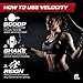 Reign Velocity+ Pre Workout Powder w/ Creatine - 50 Fruit Punch Servings - Increase Energy & Build Muscle Mass - Quality Strength & BodyBuilding Preworkout Supplement Drink for Men & Women