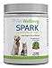Poz et Wellbeing Spark for Cats and Small Dogs - Daily Nutritional Superfood for Digestive Health & Vitality - 50g (