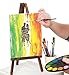 CANVAS PANELS 24 PACK - 8