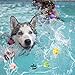 HDSX Squeaky Latex Dog Toys Funny Rubber Puppy Toys Soft Squeak Toys for Small Dog (6PCS/Set)