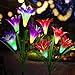 CCJK Solar Flower Lights, Solar Garden 8 Lily Flowers Stake Lights Outdoor,Solar ornaments, Mother's Day Gifts,Multi-Color Changing LED Solar Lights Decorative For Patio,Backyard(2 Pack, Purple & Red)