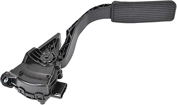 Image of 221232000006