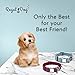 Pet Collar with Metal Buckle and D Ring | Durable Dog Collar with Reinforced Stitching and Nylon Webbing | Adjustable Dog Collar to fit Small and Medium Dog or a Puppy | Fits Neck Size 14″ to 20″thumb 4