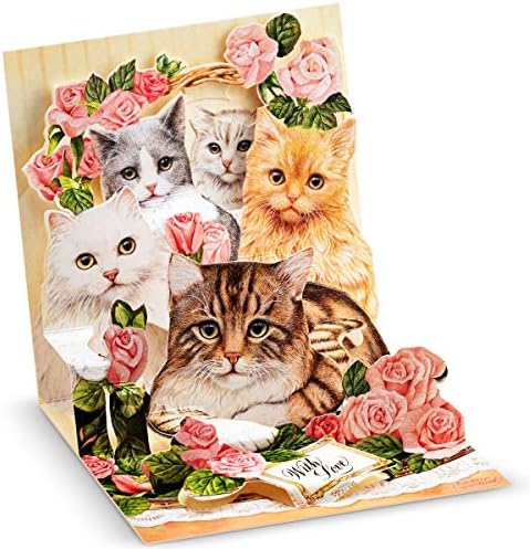 Happy Birthday Cards - Holiday Greeting Card Graduation Wedding Anniversary Cards - for Wife Husband Kids Friends w/ Mailing Envelope - Cats