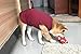 WEONE Dog Summer T-Shirts Striped Cotton Vest,Pet Breathable Soft Basic Clothes for Small Medium Larg Boy Girl Dogs,XXL
