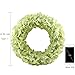 GTidea Spring Front Door Wreath Artificial Silk Hydrangea Flowers Garland Home Office Wedding Wall Decor 14-15 Inch Green