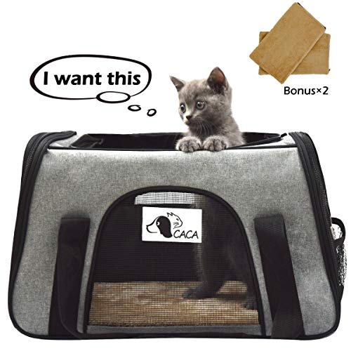 Softsided Cat Carrier