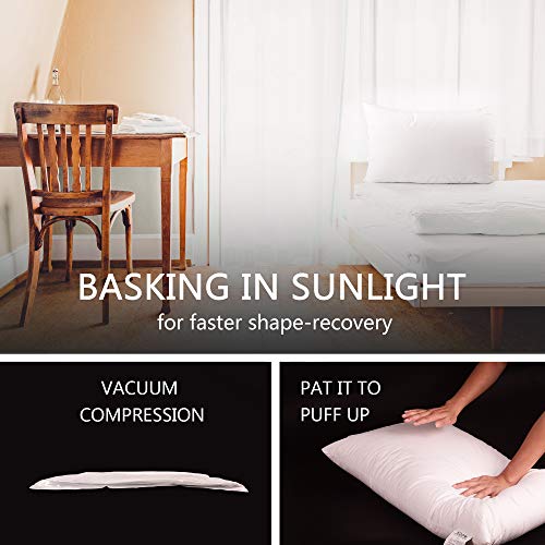 EDOW Luxury Soft Pillows for Sleeping, Fluffy Down Alternative