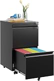 Guizeeopo Fully Assembled 2 Drawer File Cabinet, Locking Full Steel Filing Cabinet, Quiet Slides, Anti-Tipping Wheels, Fits A4/Letter/Legal, for Home & Small Office, Matte Black