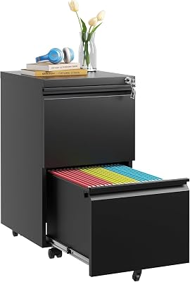 Guizeeopo Fully Assembled 2 Drawer File Cabinet, Locking Full Steel Filing Cabinet, Quiet Slides, Anti-Tipping Wheels, Fits A4/Letter/Legal, for Home & Small Office, Matte Black