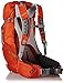 Osprey Packs Stratos 36 Backpack