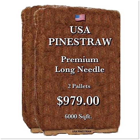 Premium Pine Straw Mulch - 14 Inch Long Needle - 2 pallets covers 6000 Sqft.