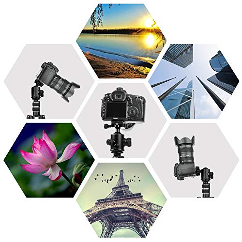 Travel Camera Tripod, Abithid 65'' Portable and Compact Aluminum DSLR Monopod Tripod with 360°Panorama 36 mm Ball Head 1/4 Quick Release Plate for Travel and Work