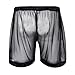 FEESHOW Men's See-Through Mesh Loose Shorts Underwear Cover up Boxer Trunks Black Medium