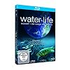 water life