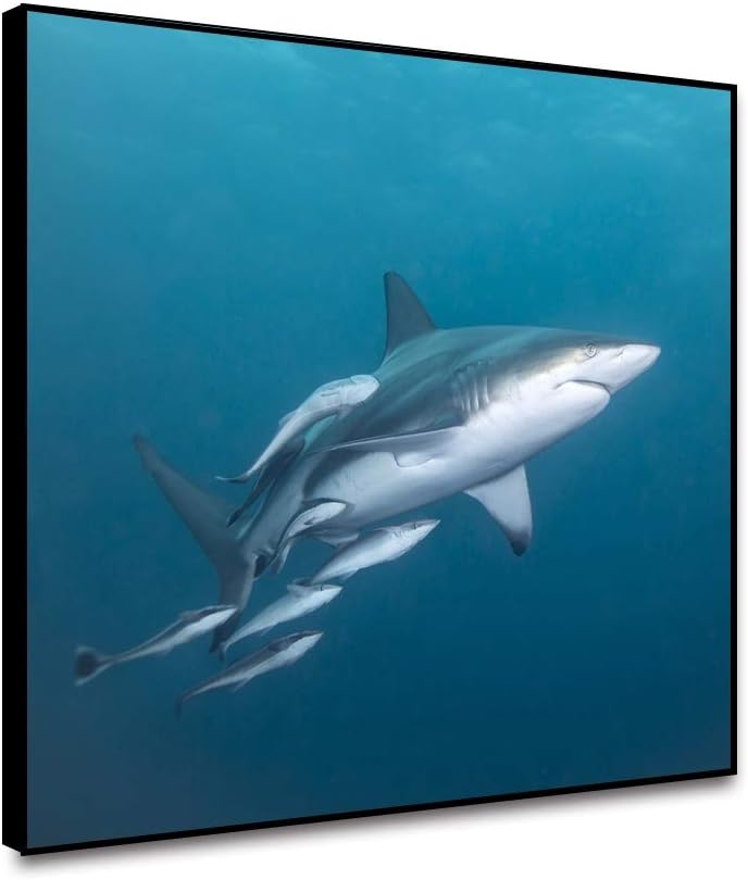 Musemailer Canvas Prints Wall Art 24"x18" Shark and Baby Sharks in The Blue Ocean Marine Animal Fierce Shark Unframed Canvas Printed Picture for Wall Decor Living Room Dining Room Home Office