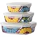 French Bull 3 Piece Porcelain Food Storage Container Set - Lunch, Airtight - Bindi