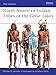 North American Indian Tribes of the Great Lakes (Men-at-Arms, 467)