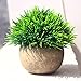 Artificial Plant for Home Decor Grass Lovely Fake Plants in Pot Decoration (Green)