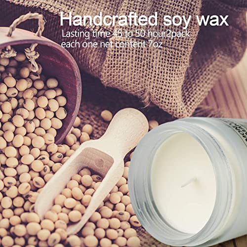 YINUO Light Scented Home Fragrance Scented Soy Candles Gift Set, Long