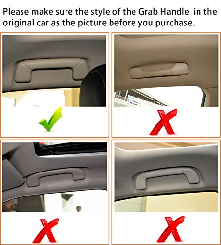 3 Moonlinks+Sunglasses+Glasses+Storage+Overhead