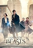 USAOPOLY: Fantastic Beasts The Search 1, 000Piece