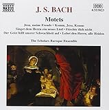 MOTETS                                             image