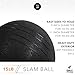 Day 1 Fitness Weighted Slam Ball, 15 LB, Black