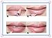 Vi.yo 12 Pieces lip Liner Pencil Waterproof Beauty Durable Long-lasting Lip Gloss Make-up Tools