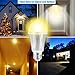 Motion Sensor Light Bulb, Witshine 12W Smart Bulb Dusk to Dawn LED Motion Sensor Light Bulbs, E26 Base Indoor Outdoor Light Bulbs Warm White 3200K for Wall Lighting Porch (Warm White ( Pack of 1 )