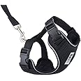 RC Pets Adventure Kitty Harness Includes Adjustable, Airmesh Fabric, 6' Leash and D-Ring Cat Walking Harness | Black, Medium