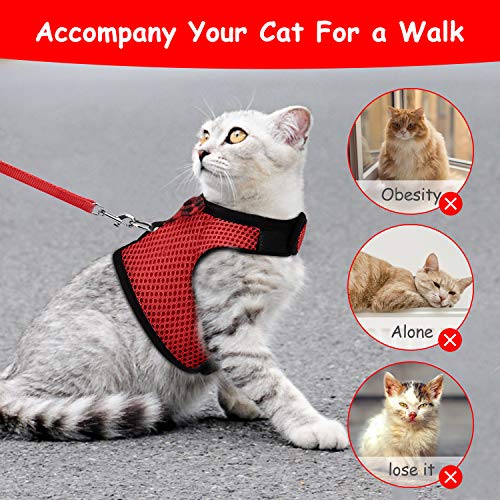 Bojafa Cat Harness and Leash Set (2 Pack) for Walking Escape Proof - Adjustable Vest Harness for Cats and Small Dogs Outdoor Walking - Thumbnail 6