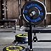 Contrast Bumper Plate Sets / Virgin Rubber with Steel Insert + Color Contrast Lettering / CrossFit, Strength Training and Weightlifting Equipment