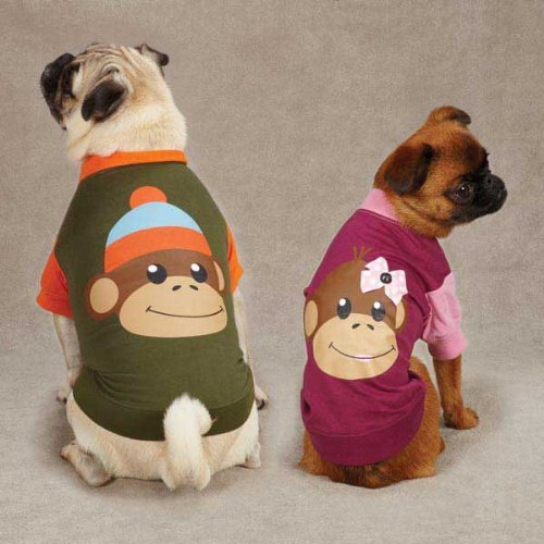 East Side Collection ZM349 12 15 Monkey Business Raglan Tee for Dogs, Small, Ty