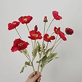 DODXIAOBEUL 3 Bundles of 22 inches Tall Red Poppy Flowers Artificial,Ranunculus Artificial Flowers,Faux Flower Stems for Wedding,Party, Outdoor Indoor Decor Flower Arrangements for Table