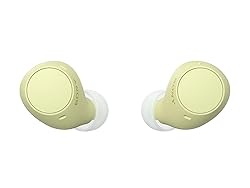 Sony WF-C510 Truly Wireless in-Ear Bluetooth Earbud