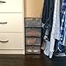 Shoe Storage Boxes | Clear Storage Box & Organizer | Storage Solution & Organization (4 pack)