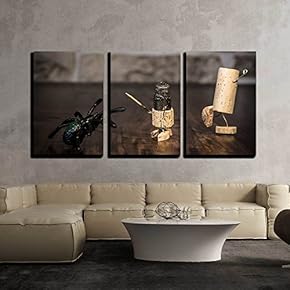 3 Piece Canvas Wall Art - Concept Bravery Knight with Spider, Wine Cork Figures - Modern Home Art Stretched and Framed Ready to Hang - 16"x24"x3 Panels