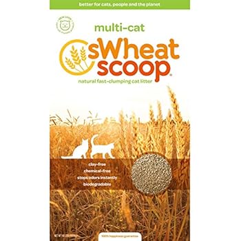 litter cat swheat scoop multi