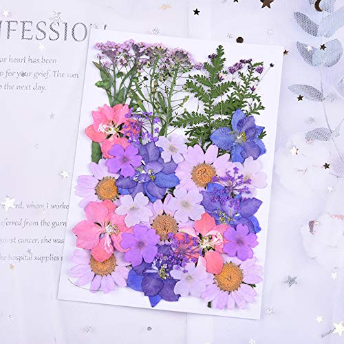 Yakuin 53 PCS Real Dried Pressed Flowers Leaves Petals Colorful Daisies for DIY Candle Resin Jewelry Nail Pendant Crafts Making Art Floral Decors