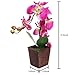 MyGift Decorative Synthetic Purple Silk Artificial Phalaenopsis Moth Orchid Flower w/Plant Stand