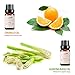 Lagunamoon Essential Oils Top 6 Gift Set Pure Essential Oils Gift Set for Diffuser, Humidifier, Massage, Aromatherapy, Skin & Hair Care