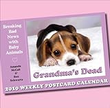 Grandma's Dead: 2010 Postcard Day-to-Day Calendar