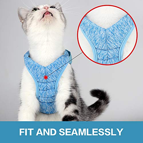 Kitten Cat Harness and Leash Set Ultra-Light Kitten Collar Soft and Comfortable Cat Walking Jacket with Running Cushioning and Anti-Escape Suitable for Puppies Rabbits with Cationic Fabric (S, Blue) - Thumbnail 3