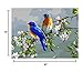 DIY Paint-by-Number Kit for Adults - Includes Brushes, Paints and Numbered Canvas - Framed/Frameless - 16'' x 20'' - Great for Kids and Adults - by Red Stapler (Royal Blue Birds, 16 x 20)