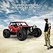 RC Car, 2019 Newest RC Cars Off-Road Remote Control Car Trucks Vehicle 2.4Ghz 2WD Powerful 1:16 Scale High Speed Remote Control Car, Electric Toy Car for All Adults & Kids